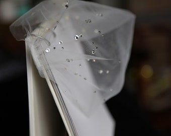 Crystal Birdcage Veil: Tulle Bandeau Bridal Veil