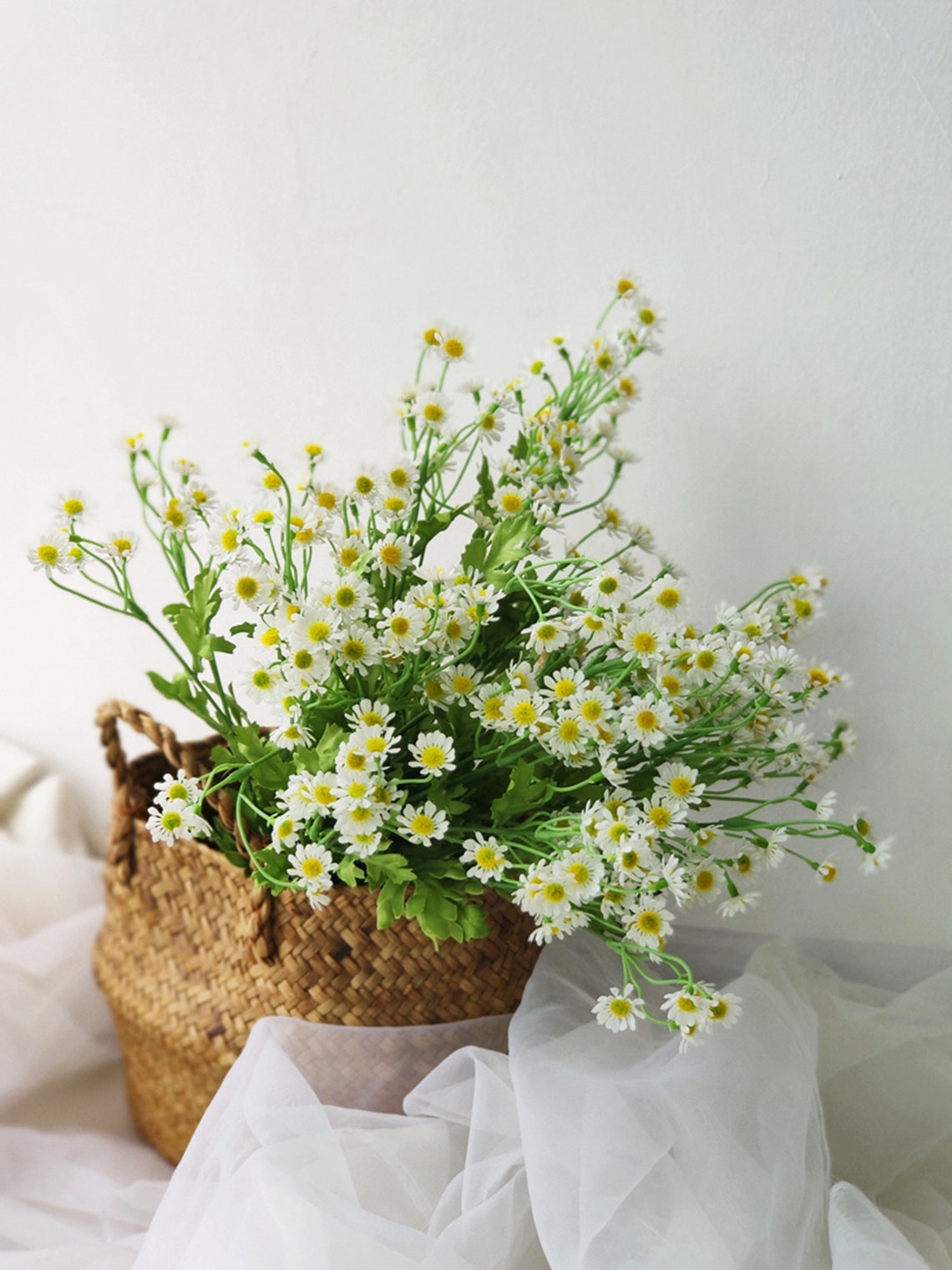White Mini Mountain Daisy Bush Flower Home Decor Kitchen | Etsy