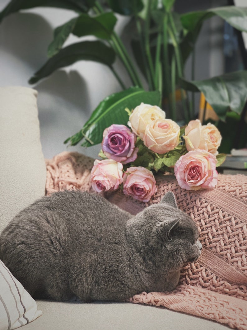One Head High Quality Artificial Rose, Artificial Single Spray Silk Rose, DIY Wedding Bouquets Centerpieces, Multicolor to Choose image 8