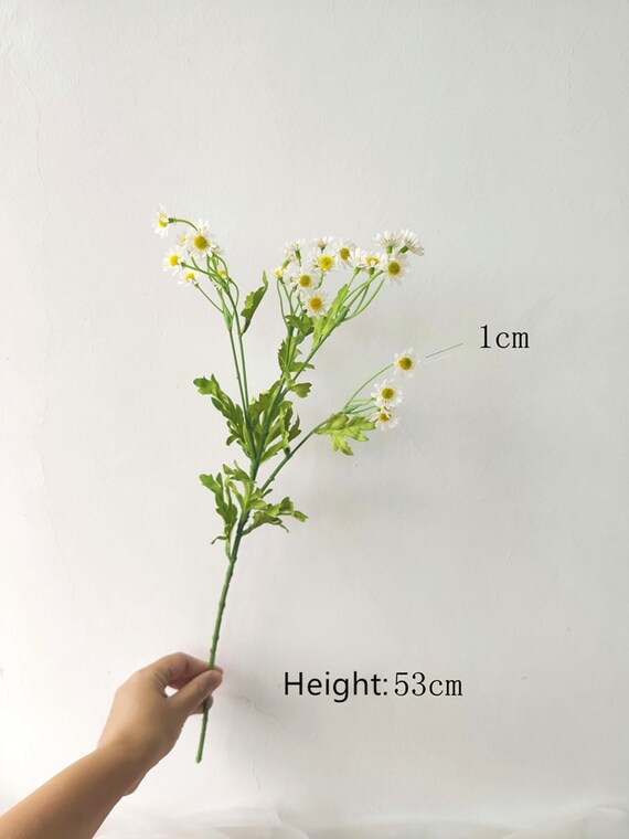 White Mini Mountain Daisy Bush, Flower Home Decor, Kitchen Decor, DIY Wedding Bouquets Centerpieces