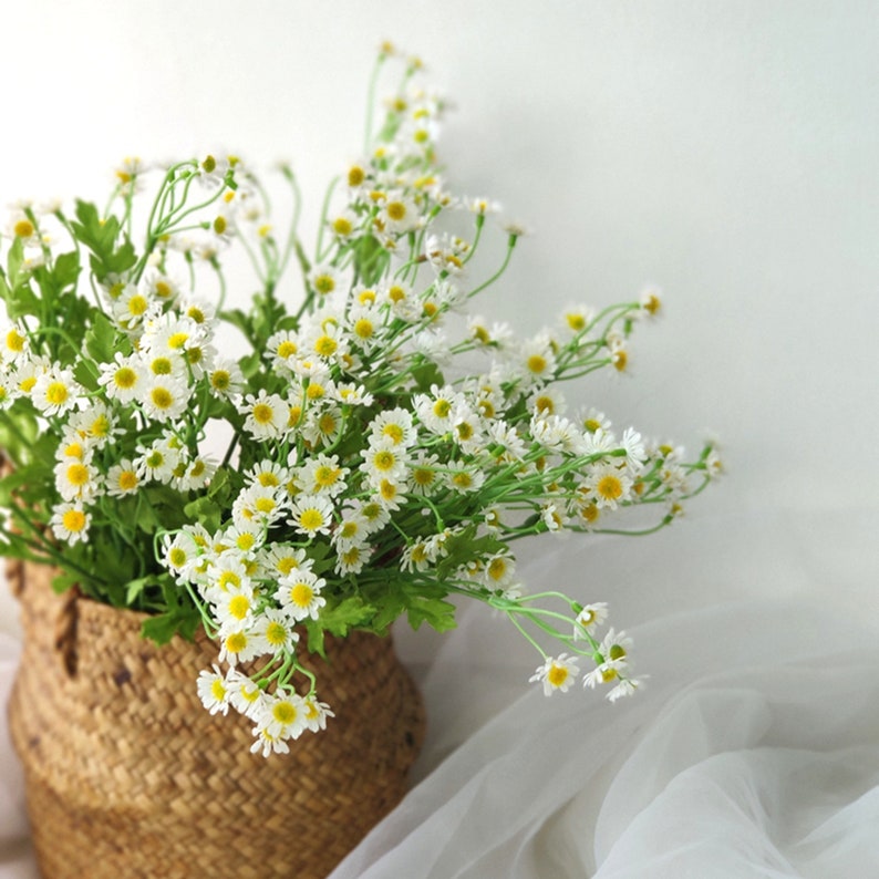 White Mini Mountain Daisy Bush Flower Home Decor Kitchen Etsy