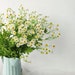 see more listings in the Flower Stems section