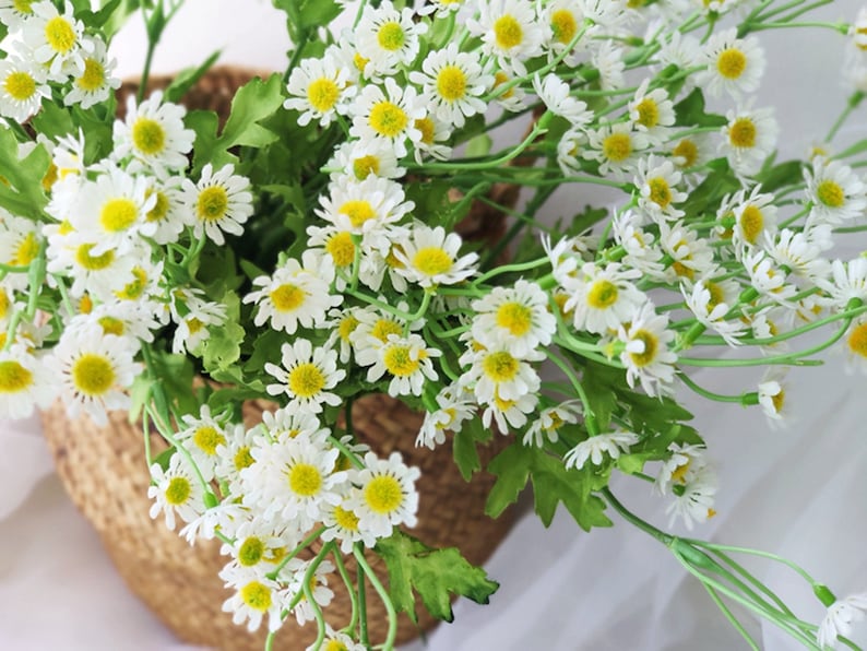 White Mini Mountain Daisy Bush Flower Home Decor Kitchen Etsy