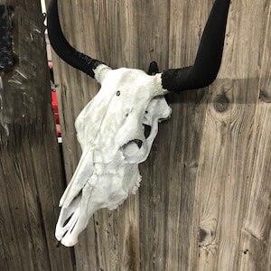Bull cow steer skull mount hanger “The EuroHanger” skull not included. Hanger only