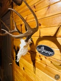 The Razor EuroHanger Skull Hanger mount bracket Deer antelope bear Broadhead Design