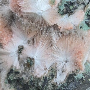Op de afbeelding: Detailopname van een mineraal specimen met clusters van stralende, naaldachtige kristallen in wit en perzikkleur. De kristallen staan af tegen een achtergrond van donkergroen en zwart gesteente, wat een opvallend contrast cre&euml;ert. De textuur is ruw en natuurlijk.