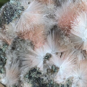 Op de afbeelding: Close-up van een mineraalmonster met stralende clusters van witte en perzikkleurige kristallen. De kristallen hebben een naaldachtig uiterlijk, tegen een achtergrond van donkergrijs en groen gesteente.