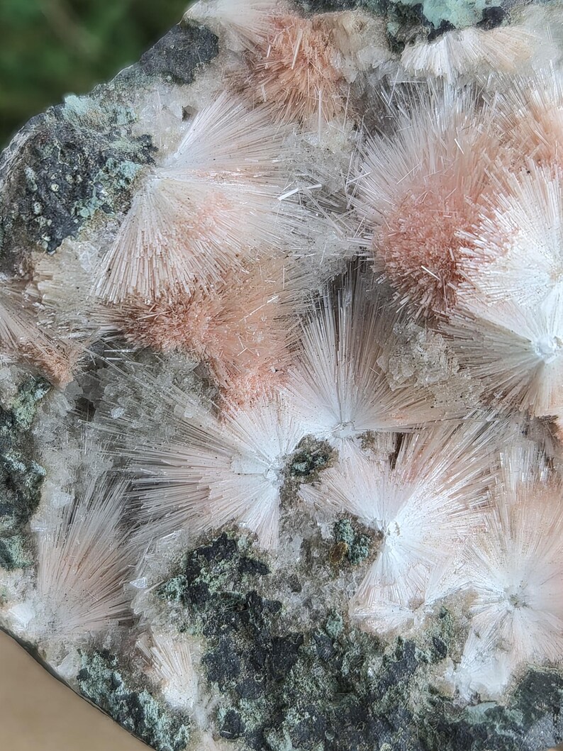 Op de afbeelding: Close-up van een mineraalmonster met stralende clusters van witte en perzikkleurige kristallen. De kristallen hebben een naaldachtig uiterlijk, tegen een achtergrond van donkergrijs en groen gesteente.
