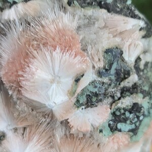 Op de afbeelding: Detailopname van een mineraalmonster met clusters van uitstralende, naaldvormige kristallen in perzik- en wittinten. De kristallen zijn geplaatst tegen een matrix van donkergrijze en groen gespikkelde rots, wat een opvallend contrast cre&euml;ert.