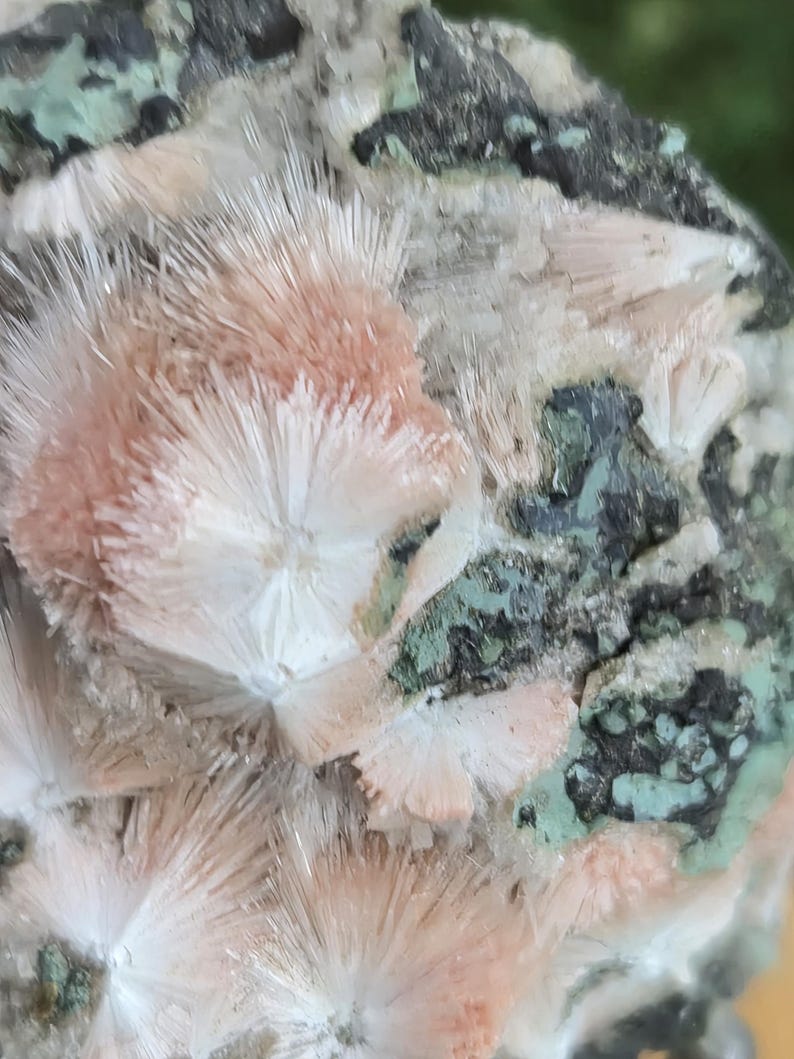 Op de afbeelding: Detailopname van een mineraalmonster met clusters van uitstralende, naaldvormige kristallen in perzik- en wittinten. De kristallen zijn geplaatst tegen een matrix van donkergrijze en groen gespikkelde rots, wat een opvallend contrast cre&euml;ert.