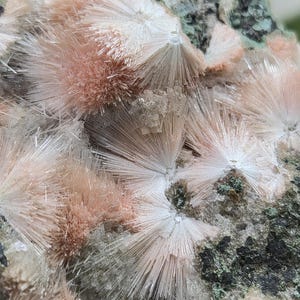 Op de afbeelding: Close-up van een mineraalmonster met clusters van uitstralende, naaldachtige kristallen. De kristallen zijn voornamelijk wit en perzik van kleur, geplaatst tegen een donkere, getextureerde matrix met groene vlekken.