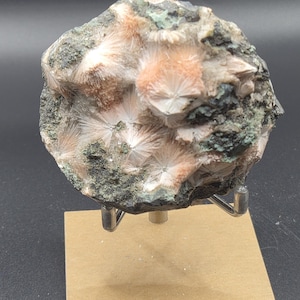 Op de afbeelding: Een mineraalmonster met stralende, witte en perzik-kleurige kristalformaties. De rots heeft een donkergrijze en groene matrix. Het monster is gemonteerd op een metalen standaard met een houten voet, ideaal voor weergave.