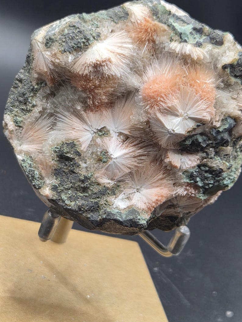 Op de afbeelding: Een close-up van een mineraalmonster met clusters van uitstralende, naaldachtige kristallen in perzik- en wittinten. De kristallen zijn geplaatst tegen een donkere, gespikkelde matrix met groene vlekken. Het monster is gemonteerd op een metalen standaard.