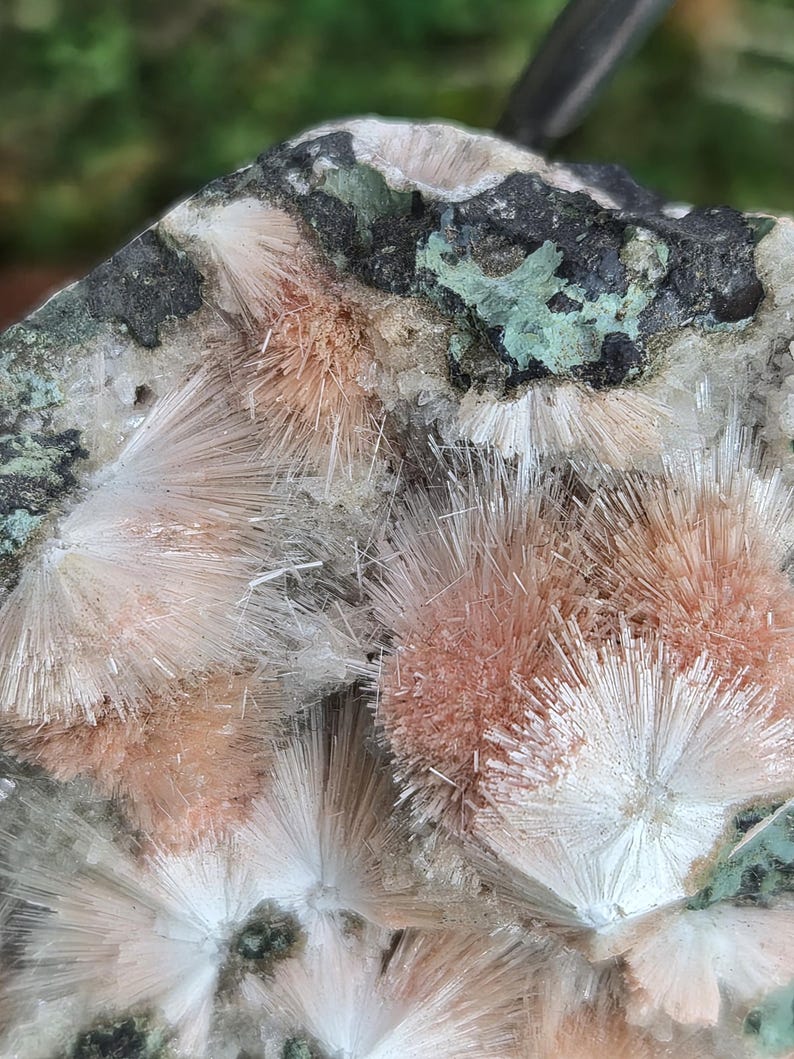 Op de afbeelding: Close-up van een mineraalmonster met clusters van stralende, naaldachtige kristallen in perzik- en wittinten. De kristallen zijn geplaatst tegen een matrix van donkergrijze, zwarte en groene tinten, wat een opvallend contrast cre&euml;ert. De algehele textuur is ruw en gedetailleerd.