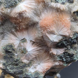 Op de afbeelding: Close-up van een mineraalmonster met clusters van stralende, naaldachtige kristallen in perzik- en wittinten. De kristallen zijn geplaatst tegen een donkergroene en grijze matrix, wat een opvallend contrast cre&euml;ert. De textuur is ruw en gedetailleerd.