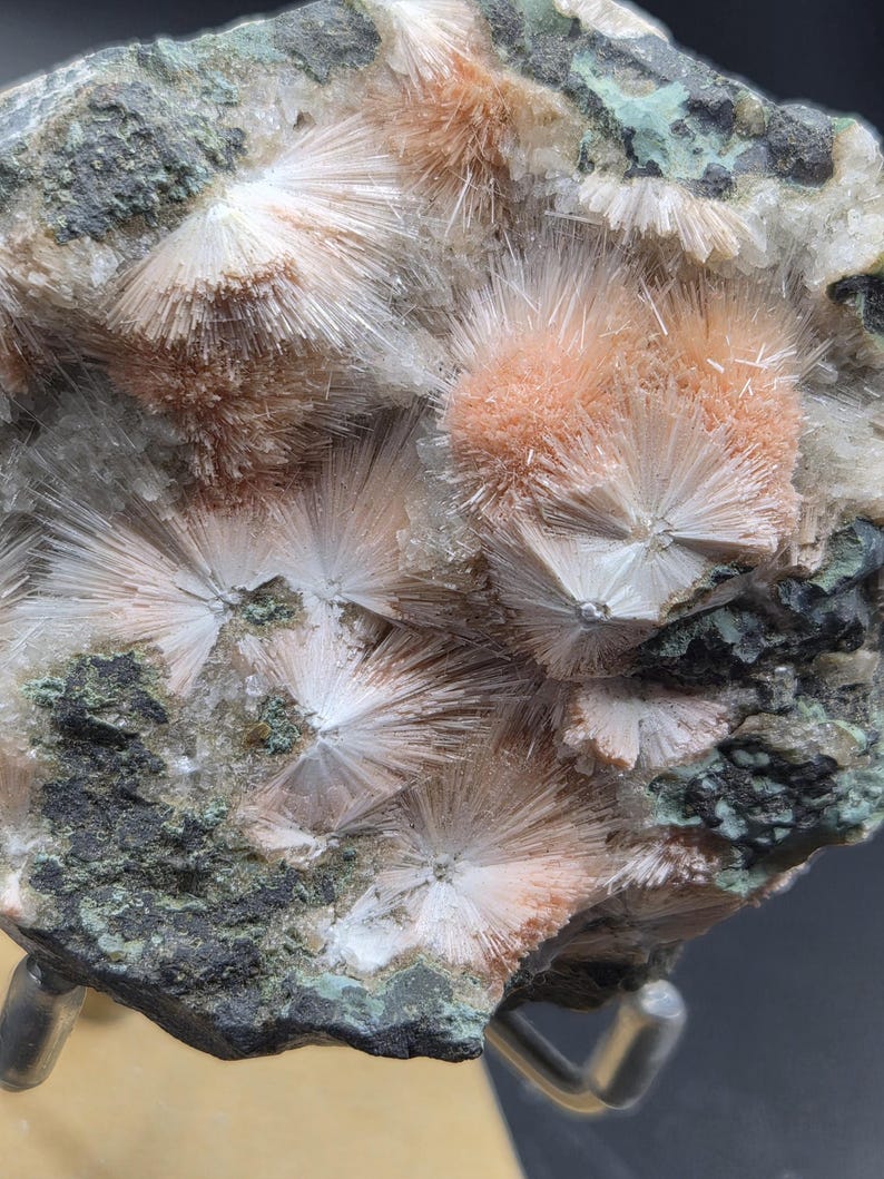 Op de afbeelding: Close-up van een mineraalmonster met clusters van stralende, naaldachtige kristallen in perzik- en wittinten. De kristallen zijn geplaatst tegen een donkergroene en grijze matrix, wat een opvallend contrast cre&euml;ert. De textuur is ruw en gedetailleerd.