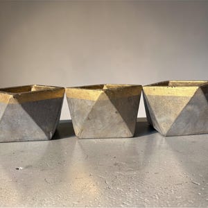 Concrete Cactus Pot | Handmade Vessel, Air Plant Holder, Housewarming Present