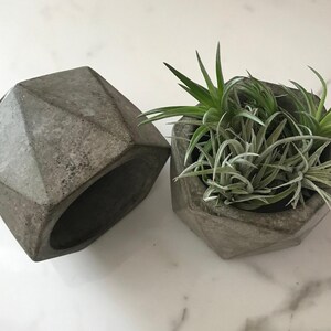 May include: Two gray concrete geometric planters. One is empty, the other contains several air plants with green and silver-green leaves. The planters are on a white marble surface. The planters are a modern, minimalist design.