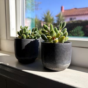 Small Concrete Planter | Air Plant Holder | Handmade Succulent Vessel | Japandi Minimalist Gift