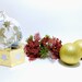 SVG Snow Globe Ornament Ball Gift Box Nativity Scene Svg Cut Files ...