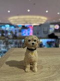 Custom Dog Animal/Pet Sculpture