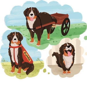 Illustrator for Hire, Artist for Hire, Graphic Designer for Hire, Children&#39;s Book Illustrator, Childrens book Illustrator, Kids Books