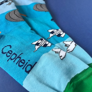 Könnte beinhalten: Ein Paar blaue und grüne Socken mit einem weißen und schwarzen Flugzeugmuster. Die Socken haben den Schriftzug "Cepheid" aufgedruckt.