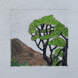 Una collina e due alberi