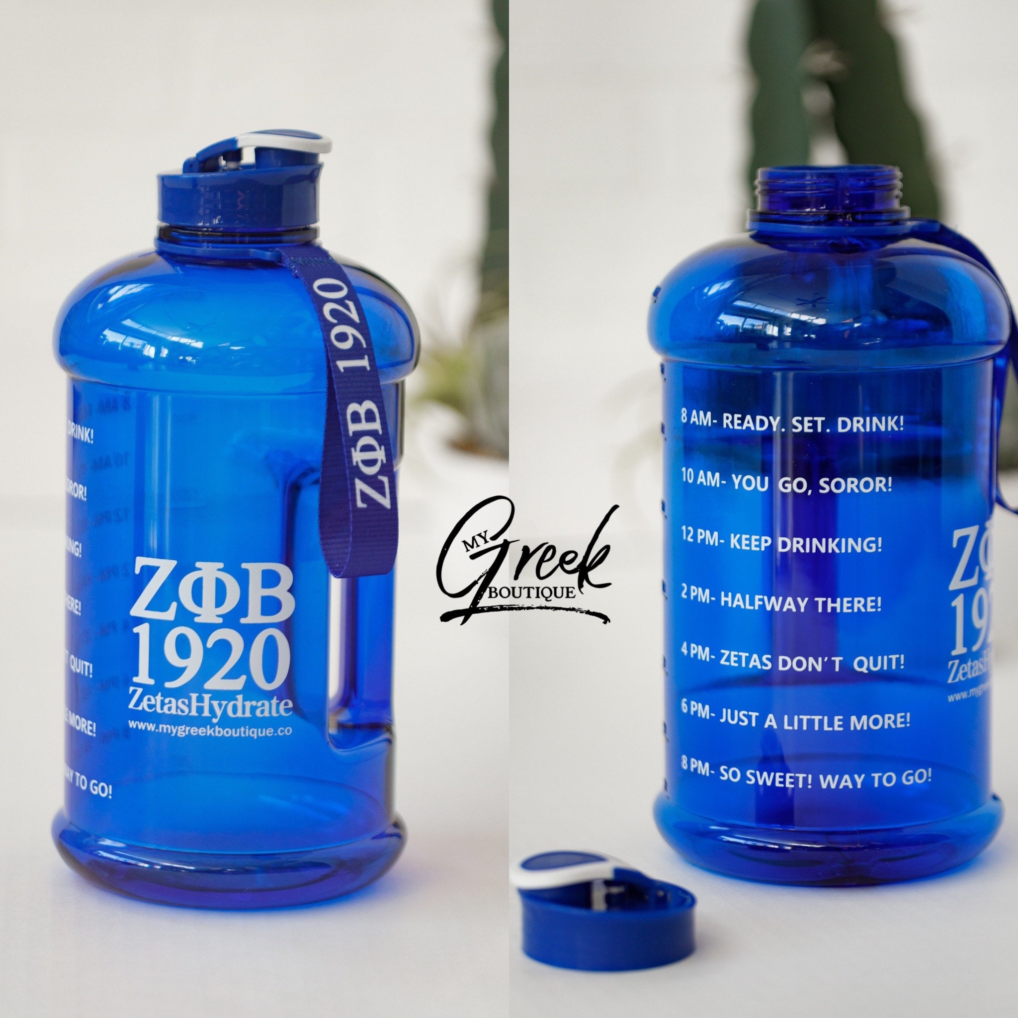 Porpoise- Bulk Custom Printed 24oz Water Bottle with Flip Lid