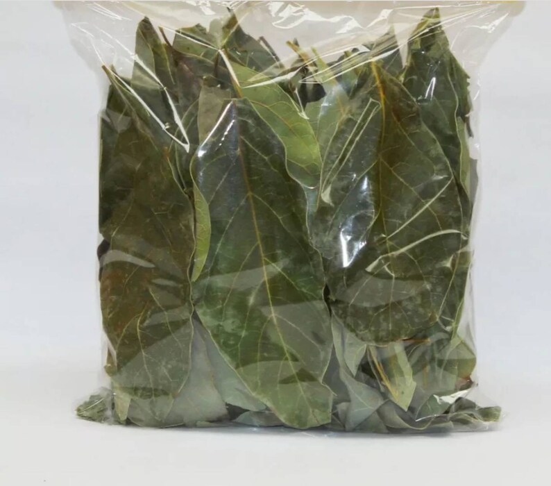 Hojas De Aguacate Secas Avocado Leaves Dry From Oaxaca Mexico Etsy