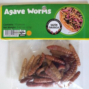 30 Agave Worms from Oaxaca, Mexico image 2