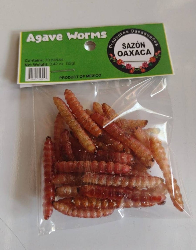 30 Agave Worms from Oaxaca, Mexico image 1