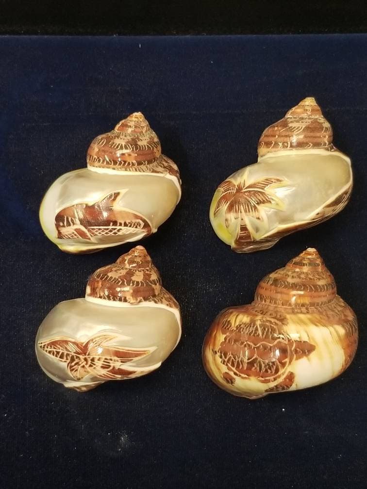 Tapestry turbos 4 picture carvings openings 1 1/16 - 1 1/4 hermit cra…
