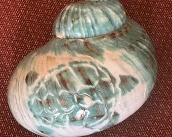 Caparazón de jade turbo gigante: tortuga tallada, cangrejo ermitaño. Tamaños de apertura seguros de más de 2 pulgadas.