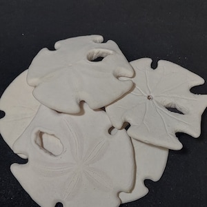 以下が含まれることがあります： 複雑なパターンと星型のデザインが施された、白い砂ドル4つ。砂ドルは、黒い背景の上に積み重ねられています。砂ドルは、ウニの一種です。