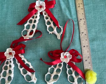 Christmas ornament cut seashell