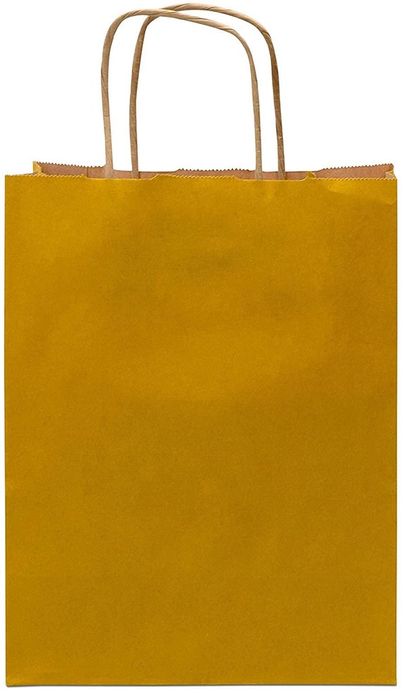 Brown Gift Bags with Handles 8x4x10 Inch Small Kraft Paper Shopping Bags 25  pack