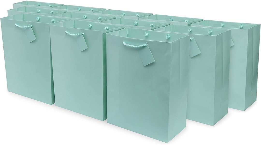 Green Gift Bags 12 Pack Mint Designer Paper Shopping Bags Etsy