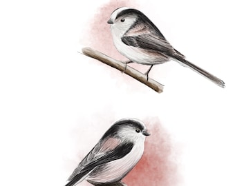 Card " Long tailed tit duo" - A6