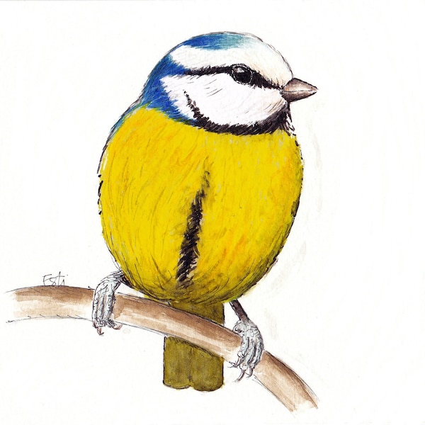 Square card " blue tit " 15x15cm