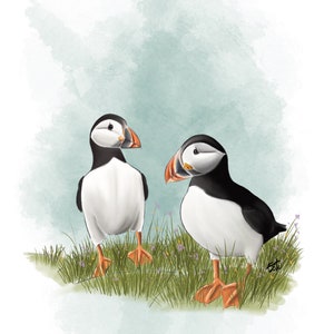 A4 POSTER - Naturalistische Illustration - Papageitaucher