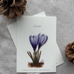 Carte postale "crocus" -A6