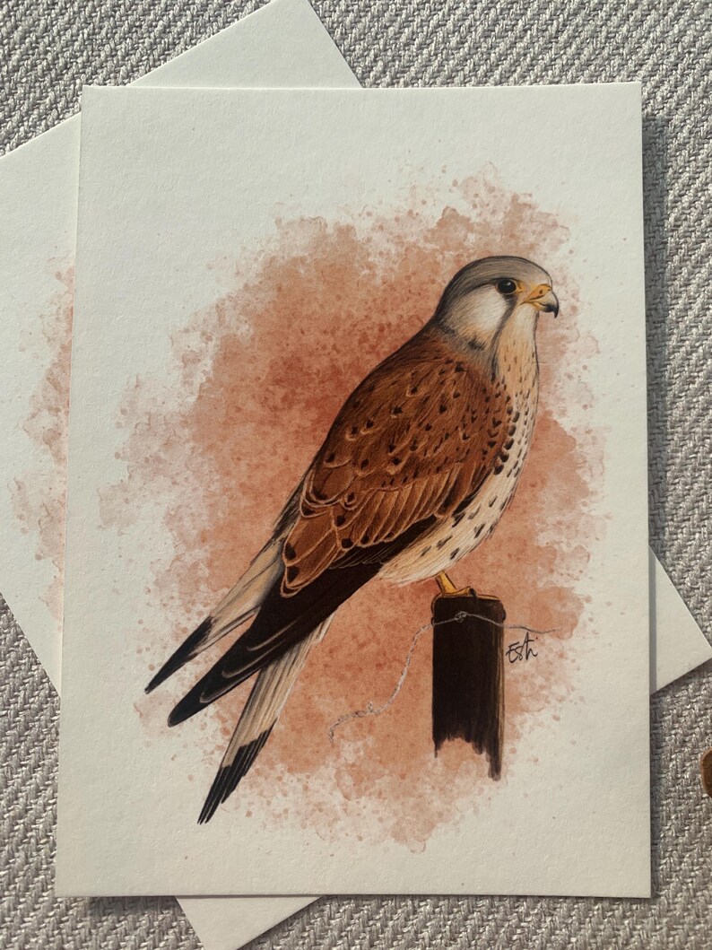 Cartolina "gheppio" - A6 immagine 2