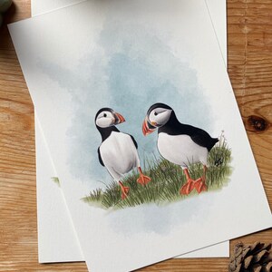 Carte postale " petit macareux " - A6 image 2