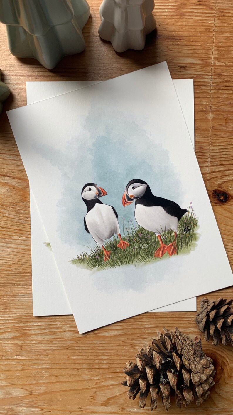 Carte postale " petit macareux " - A6 image 2
