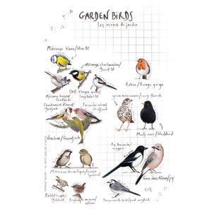 Print "Garden Birds" - A4