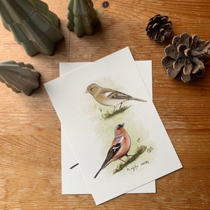 Carte postale "petit pinson" - A6 image 3