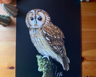 A4 POSTER - Naturalist illustration: Tawny owl