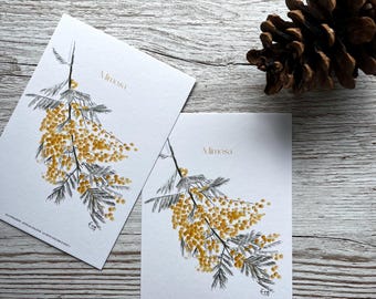 Ansichtkaart "Mimosa" - A6