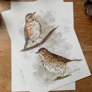 Carte postale "les grives" - A6 image 2